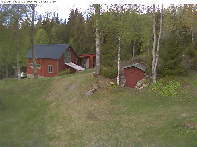 Webcam Tosåsen, Berg, Jämtland, Schweden